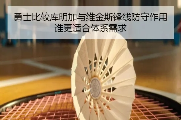 勇士比较库明加与维金斯锋线防守作用谁更适合体系需求